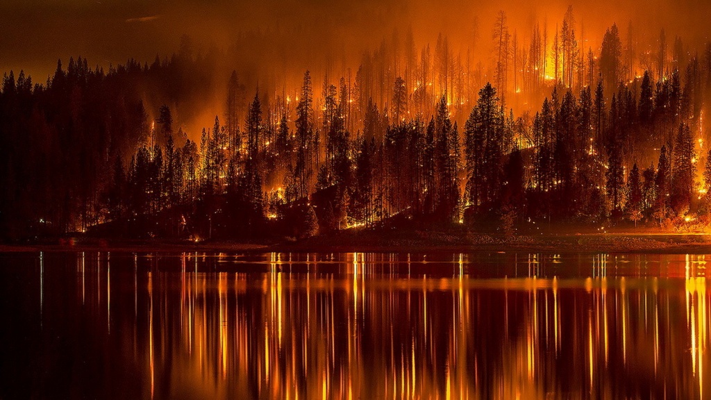 Красивый пожар в лесу на берегу